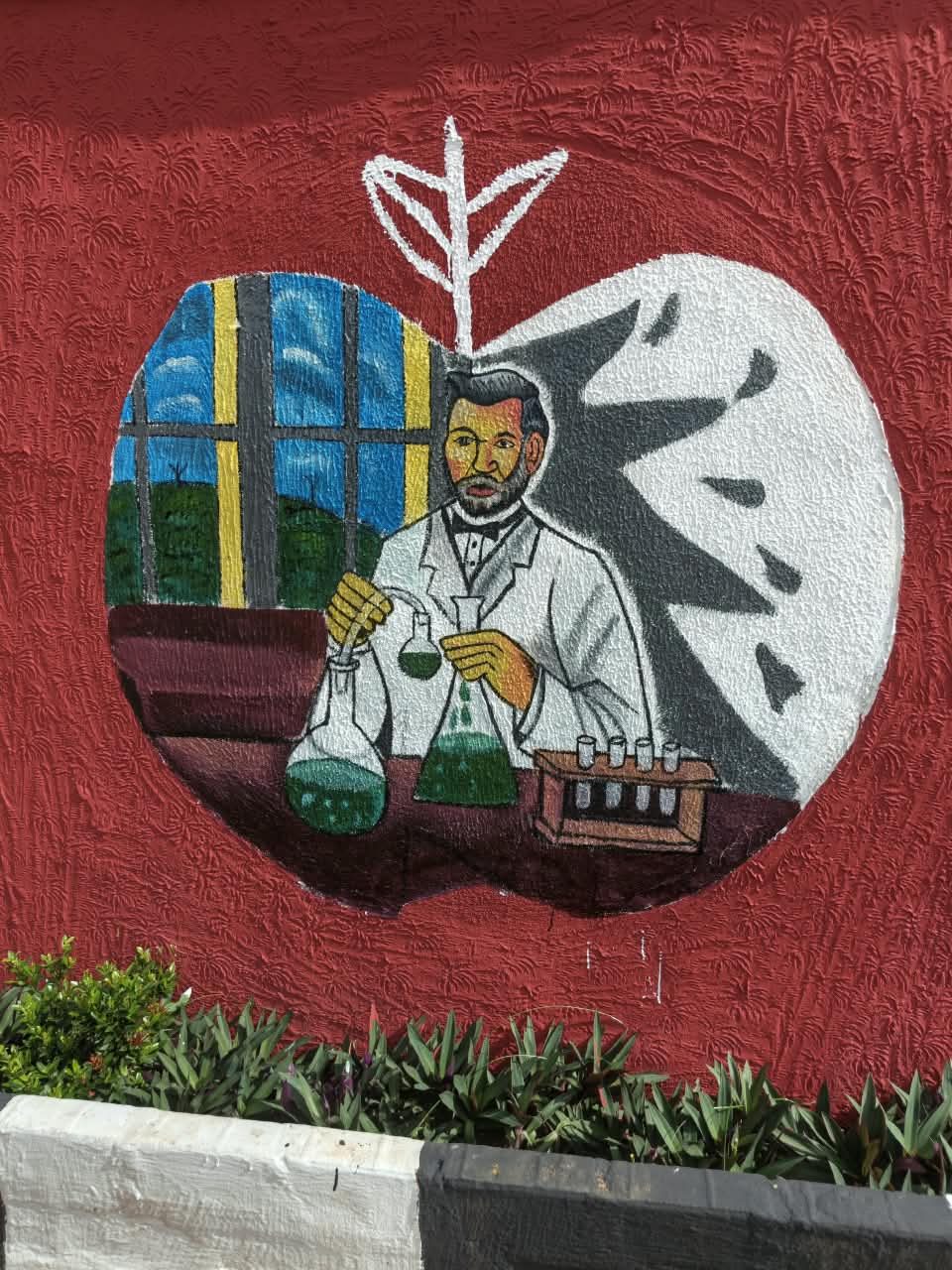 School wall mural of a scientist working with flasks, painted inside an apple shape